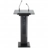 Трибуны для выступлений PROAUDIO PARLIAMENT-800B-LITE 50206
